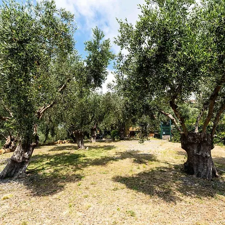 아파트 Garden By Interhome *