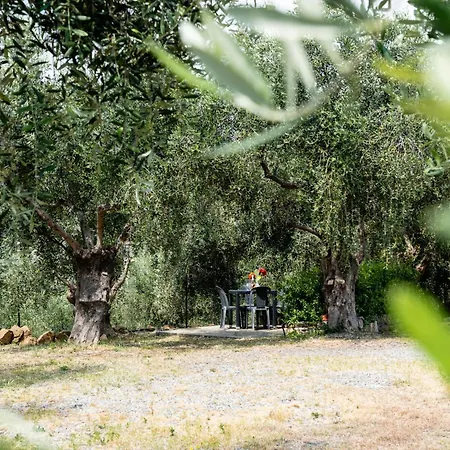 Garden By Interhome شقة *